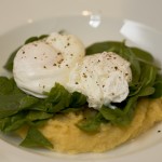 Poached Eggs on Polenta and…The Opportunist