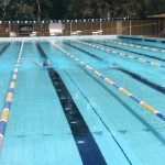 The Swimming Carnival