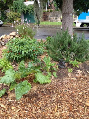 'Old Man's Beard' with a community vegetable garden