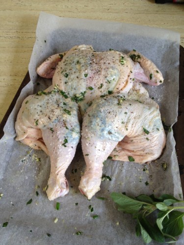 Herby butter has been rubbed under the skin and the chicken is all ready for the oven