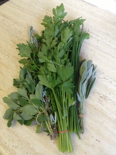 Bunches of different herbs.  