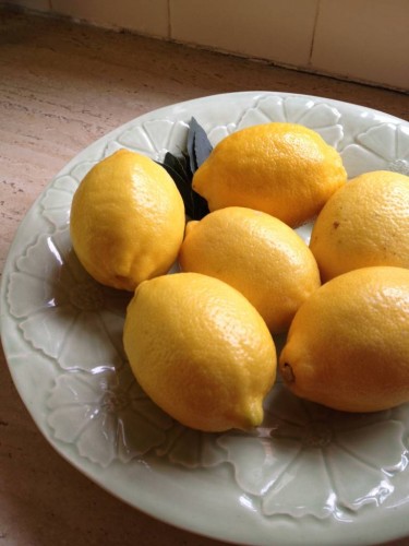 Beautiful lemons