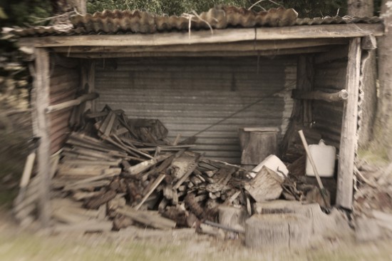 A wood stack outside a shed