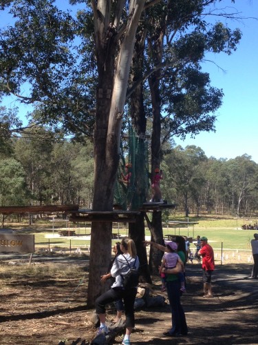 The children's climbing course at Tree Top Adventure Park