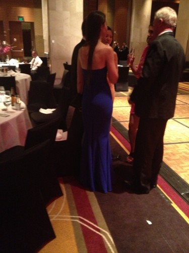 The best image I could get of the infamous sapphire blue dress 