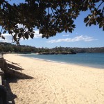 Bottom of the Harbour, Balmoral Beach