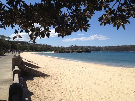 Across the road from Bottom of the Harbour is one of Sydney's best beaches