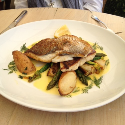 Pan-fried red snapper, roast baby fennel, steamed asparagus, zucchini flowers, sea salt roasted kipfler potatoes and dill buerre blanc $29.00