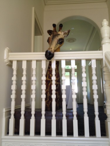 There's a gorgeous giraffe on the stairs!