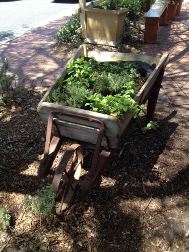 Outside Bloom is an edible garden in a wheelbarrow 