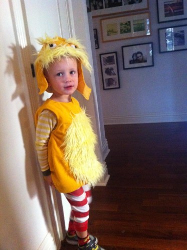 My nephew who lives in LA.  He's only three and dress as The Lorax