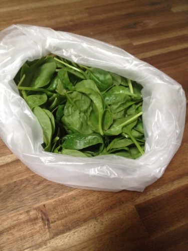I gave the spinach to Mr Competitive in this bag as I didn't want to put it into the curry and then have it re-heated - not good!  Much better if it's added at the last minute.  
