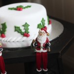 A Gluten-Free Christmas Cake