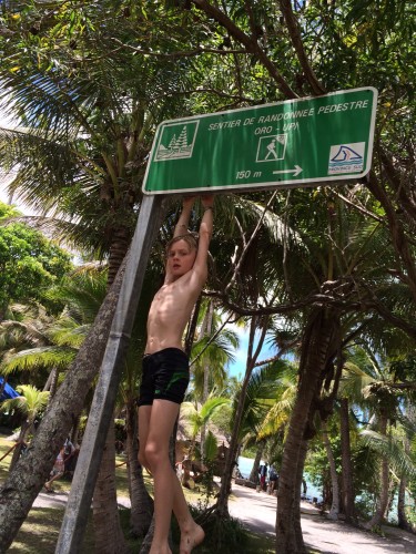 Just hanging off the sign pointing us in the direction of Oro Bay.  