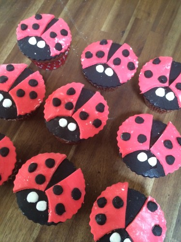 Ladybirds with their wings, spots and eyes 