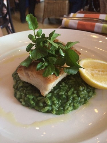 Fresh selected fish of the day with lemon and oil and risotto $35.00 