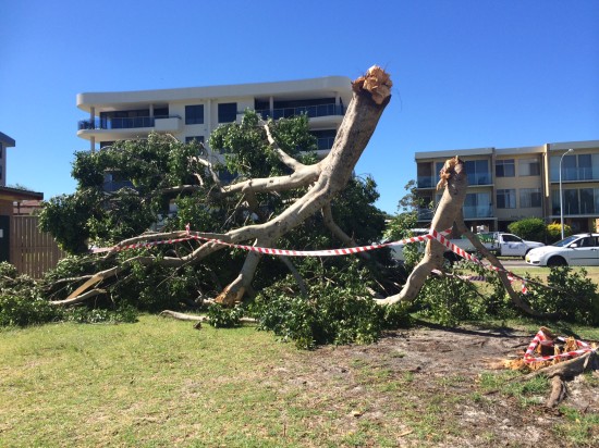 A lot of damage at Little Beach