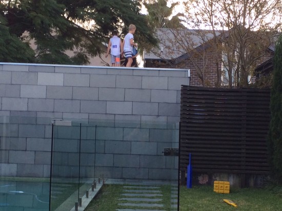 That's the boys on the garage roof