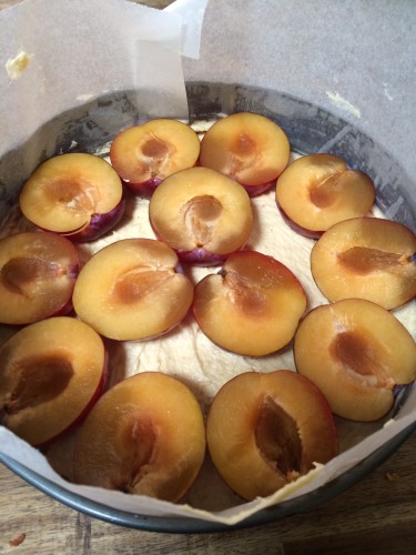 Plums on top of the batter (but not for long)