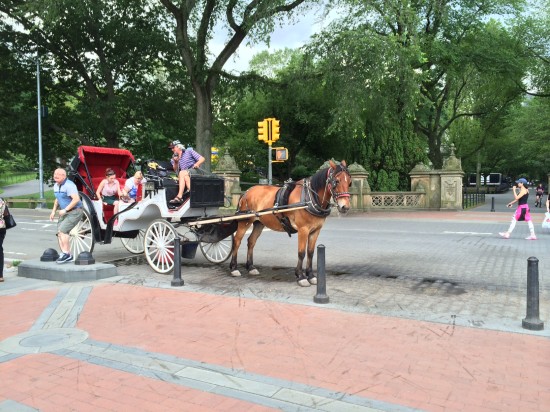 A horse and carriage ride