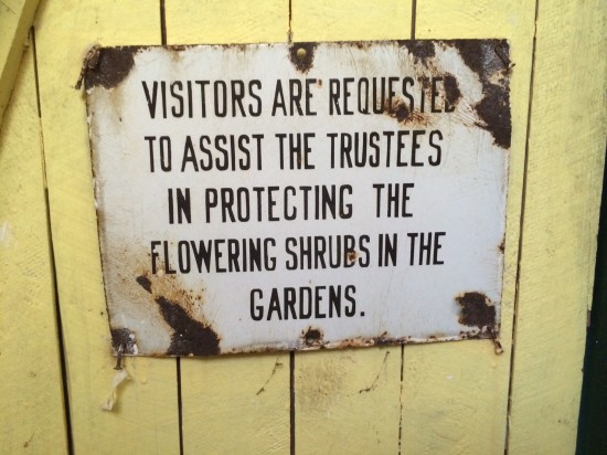 Sign on the inside of the bathroom door.  Personally didn't see any flowering shrubs.  