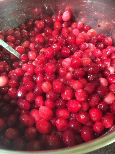 I just love the colour of cranberries