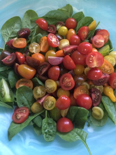 The heirloom tomato salad minus the basil and before I added the haloumi