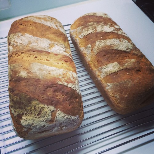 Freshly baked bread cooling 