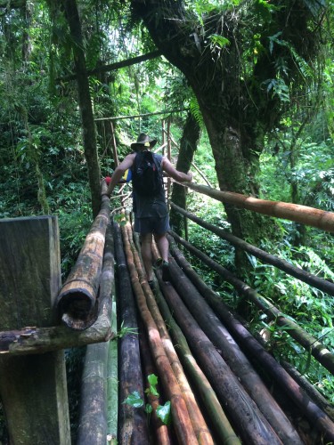 Bamboo bridge - hold on 