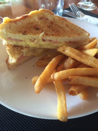 Toasted Sandwich with Fries:  900 vt