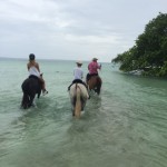 Santo Horse Adventures, Vanuatu