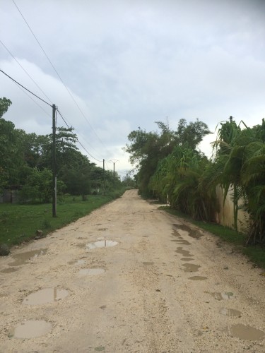 The road leading to Pandanus Bay 