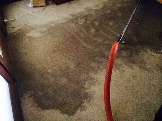 Getting the water up from the carpet