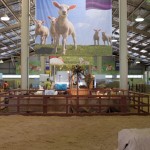 Win Tickets to the Easter Show