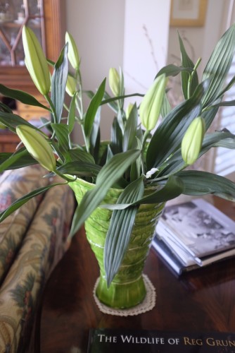 A vase of lilies 