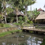 Bebek Tepi Sawah, Ubud, Bali