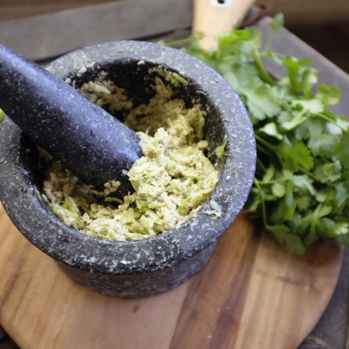 Garlic and Coriander (Cilantro) Paste