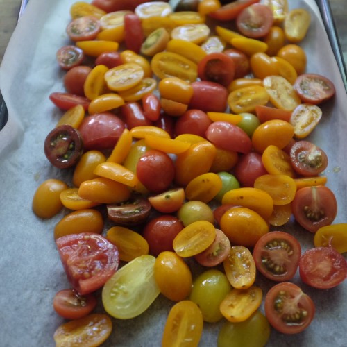 A mixture of tomatoes works well 
