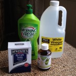 Non-Toxic Cleaning Solution